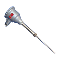 WRNK2-240防爆鎧裝熱電偶